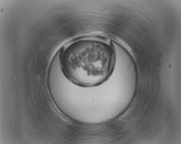 X0000072501332200607211240