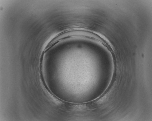 X0000072501333200607211240