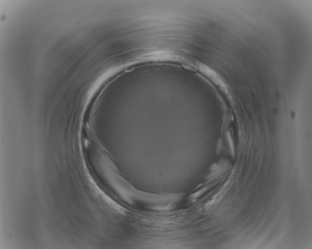 X0000072501334200607211240