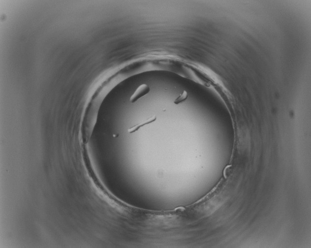 X0000072501335200607211240