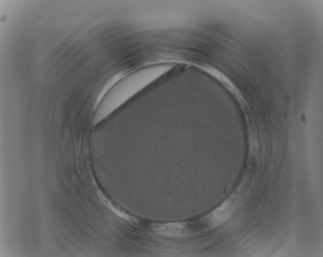 X0000072501337200607211240