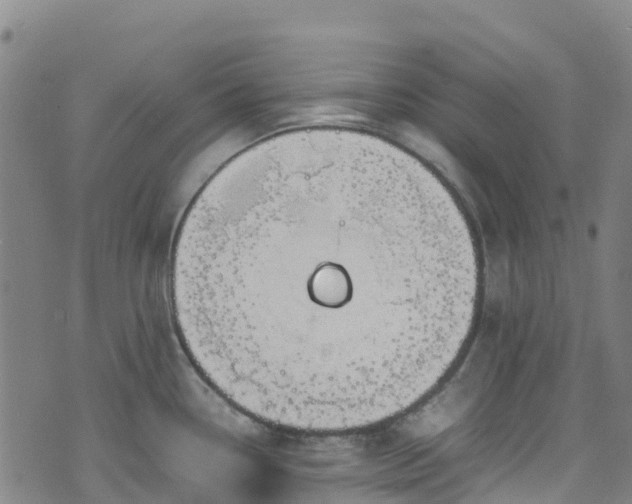 X0000072501338200607211240