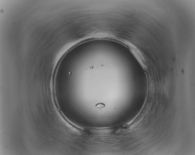 X0000072501343200607211240