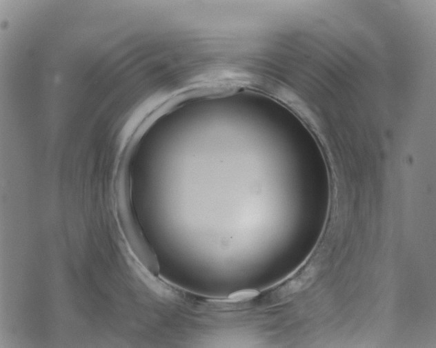 X0000072501344200607211240