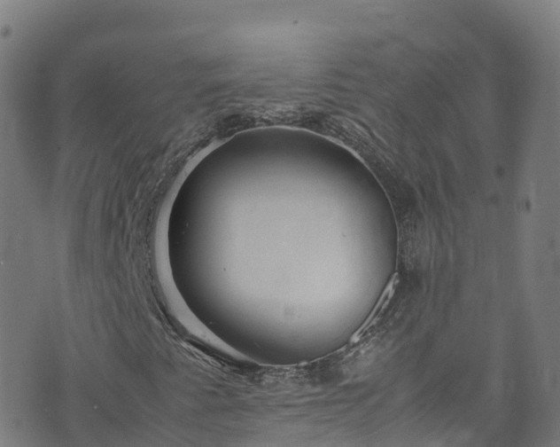 X0000072501345200607211239