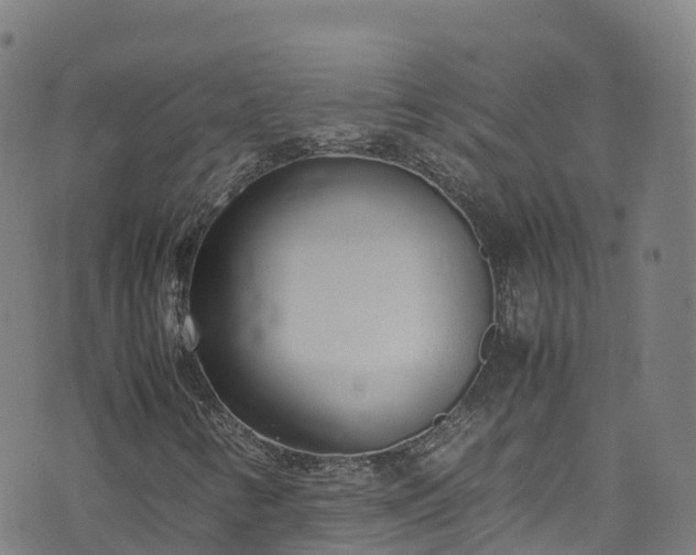 X0000072501346200607211239