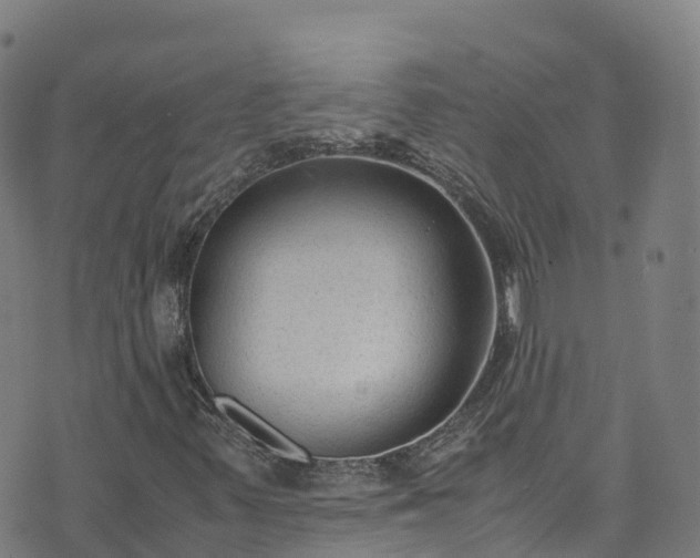 X0000072501347200607211239