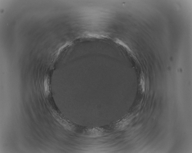 X0000072501348200607211239