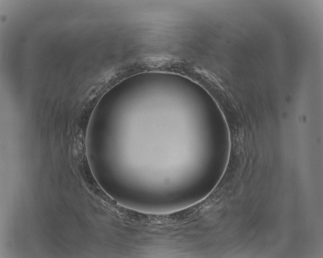 X0000072501349200607211239