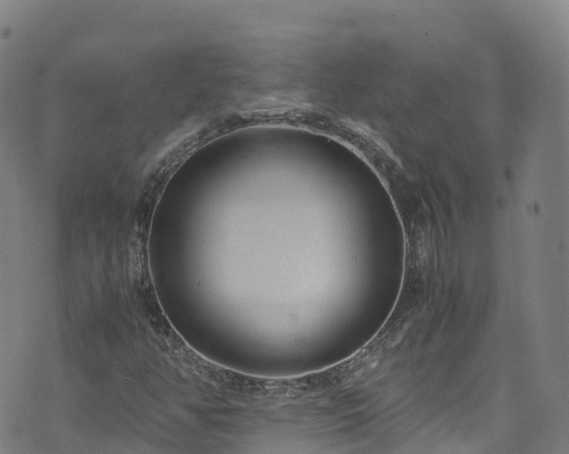 X0000072501350200607211239