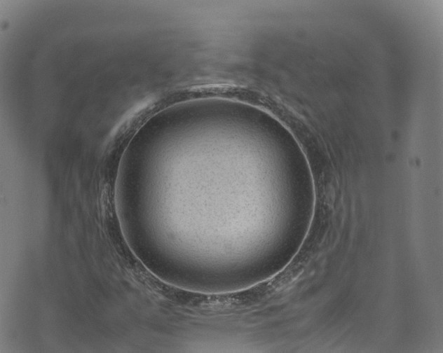 X0000072501351200607211239