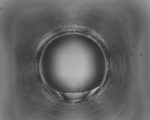 X0000072501352200607211239