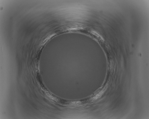 X0000072501353200607211239