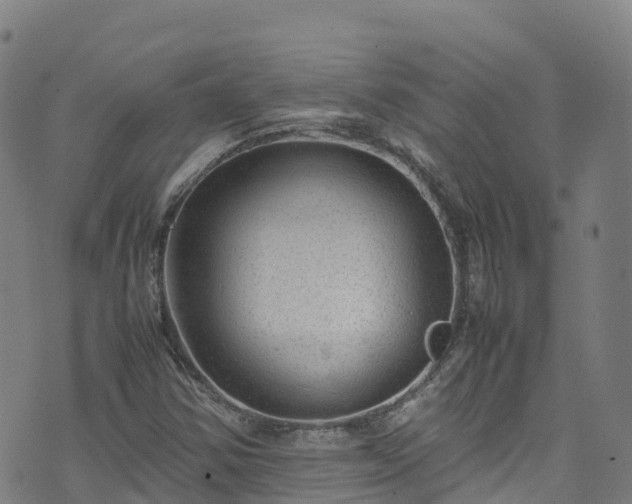 X0000072501354200607211239