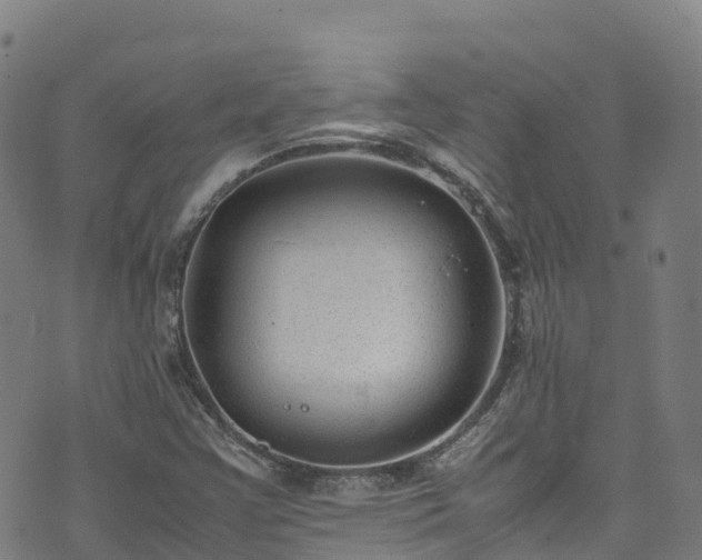 X0000072501355200607211239