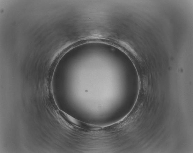 X0000072501356200607211239