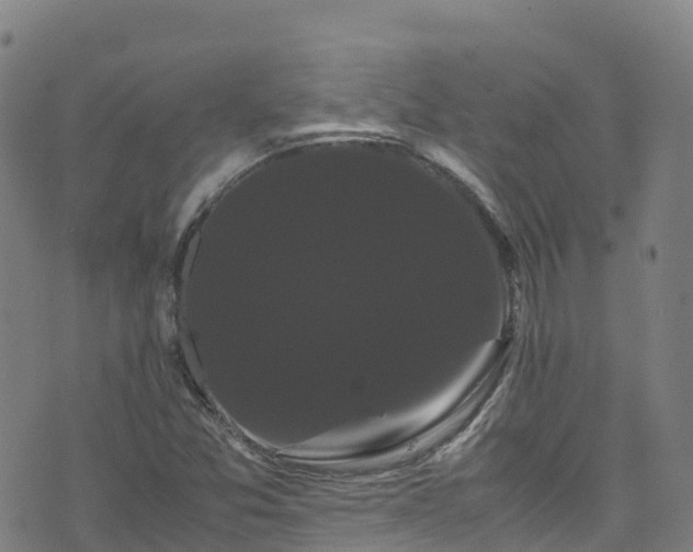 X0000072501357200607211239