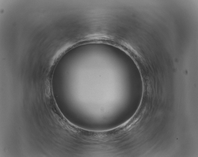 X0000072501358200607211239