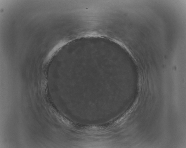 X0000072501359200607211239