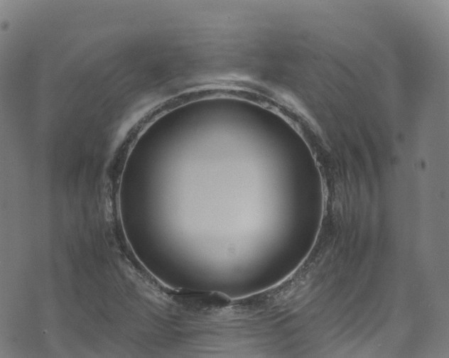 X0000072501360200607211239