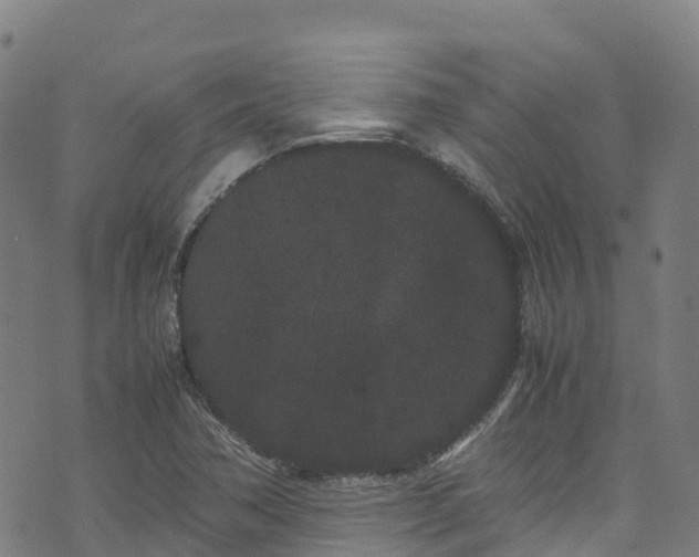 X0000072501362200607211239