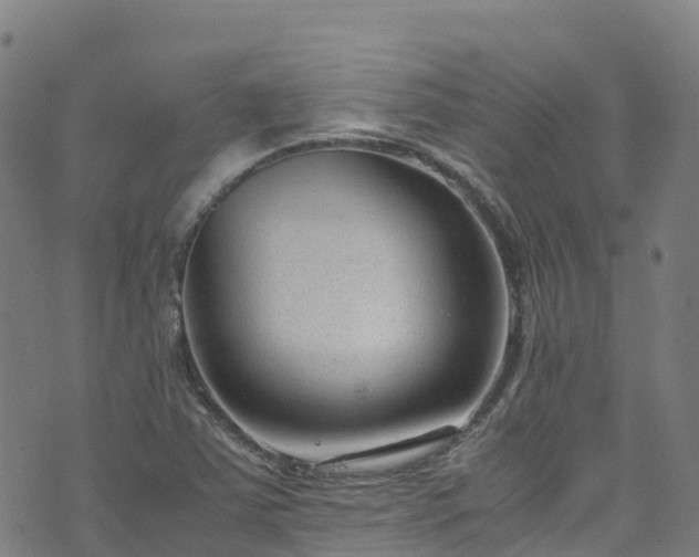 X0000072501363200607211239