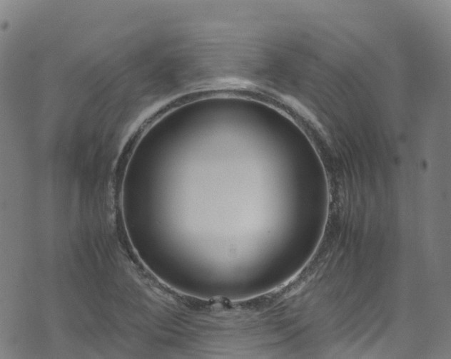 X0000072501364200607211239