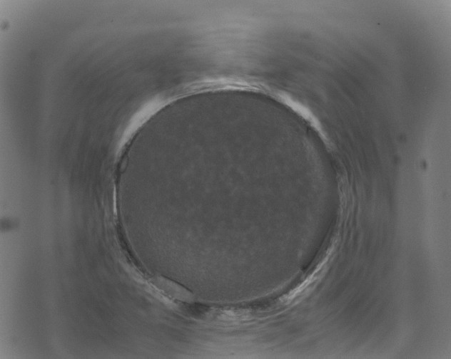 X0000072501365200607211239