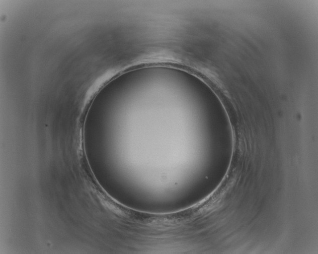 X0000072501366200607211239