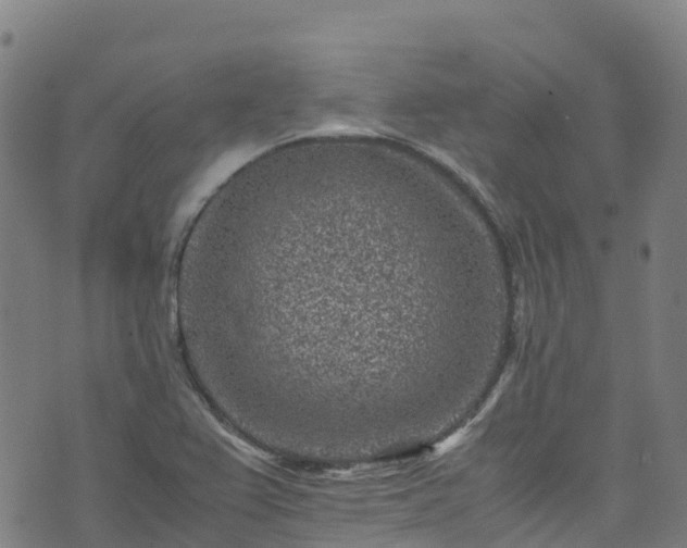 X0000072501367200607211239