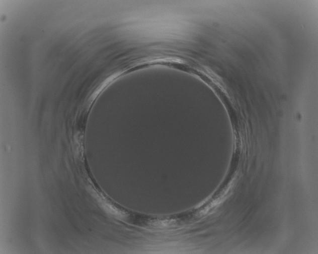 X0000072501369200607211239