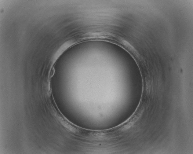 X0000072501370200607211238