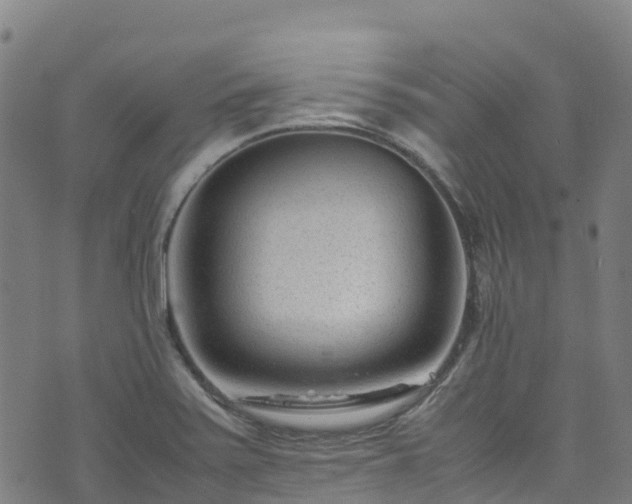 X0000072501371200607211238