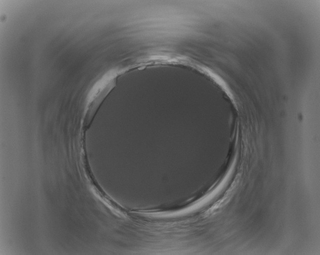 X0000072501373200607211238