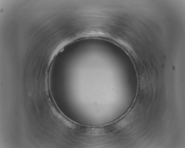 X0000072501374200607211238