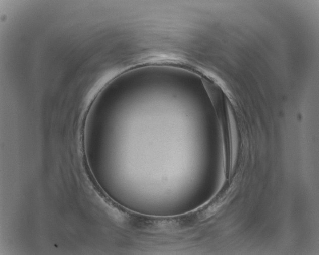 X0000072501375200607211238