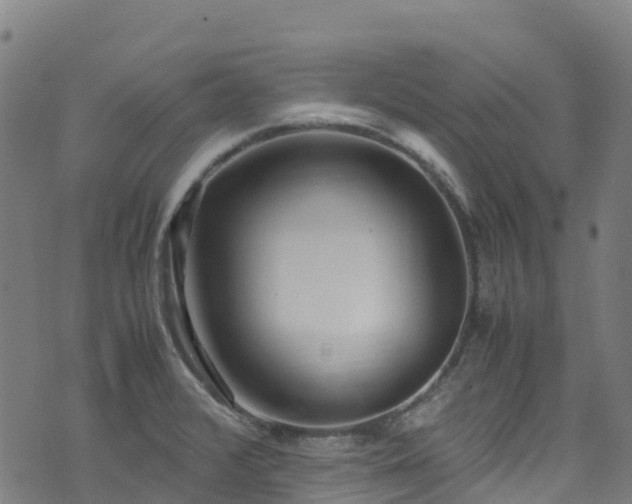 X0000072501376200607211238