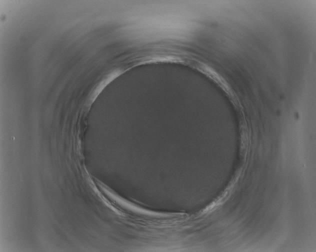 X0000072501377200607211238