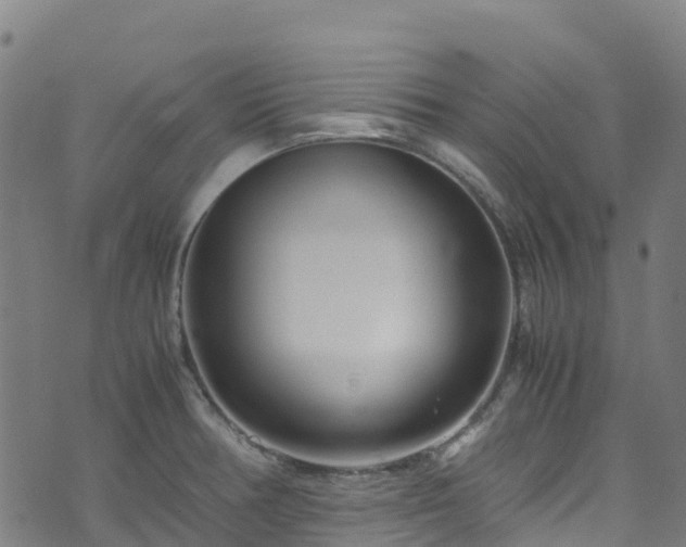 X0000072501378200607211238