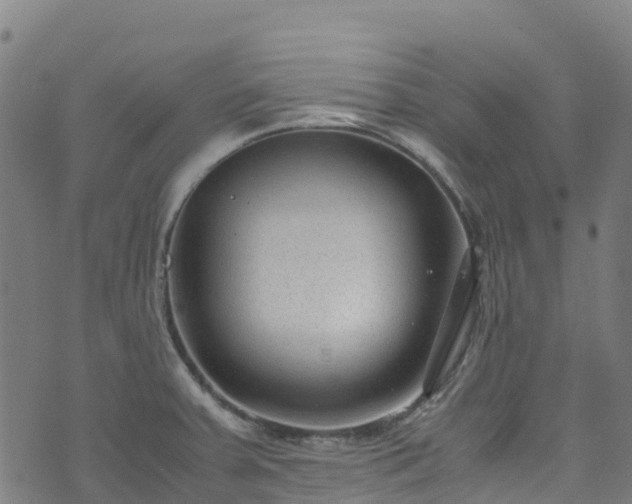 X0000072501379200607211238