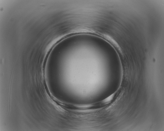 X0000072501380200607211238