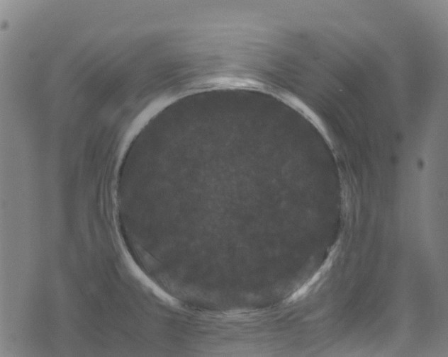 X0000072501381200607211238