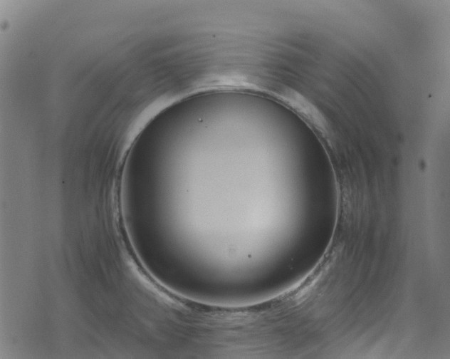 X0000072501382200607211238