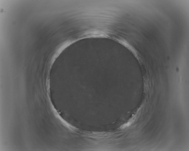 X0000072501383200607211238