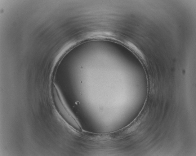 X0000072501384200607211238