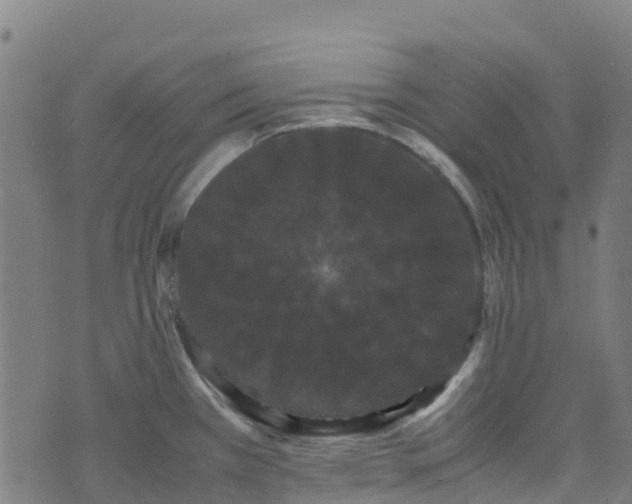 X0000072501385200607211238