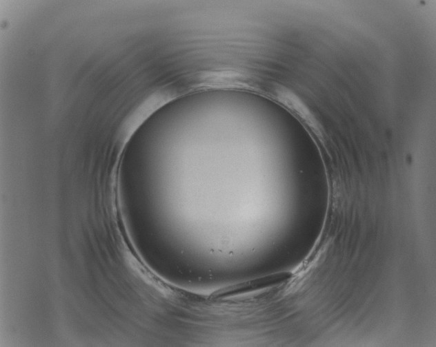 X0000072501386200607211238