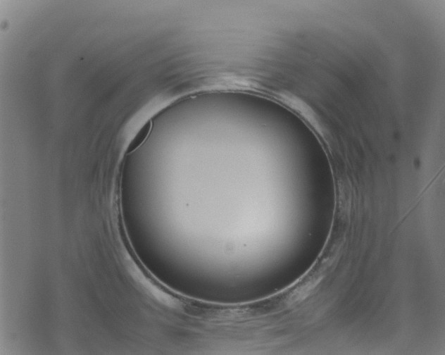 X0000072501387200607211238