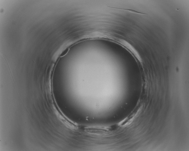 X0000072501388200607211238