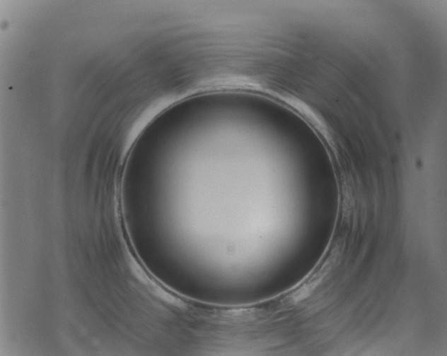 X0000072501390200607211238